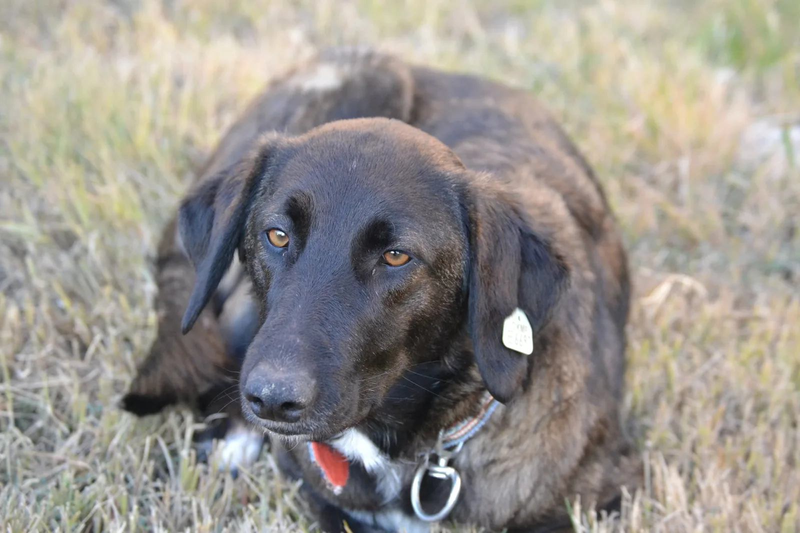 Zuko