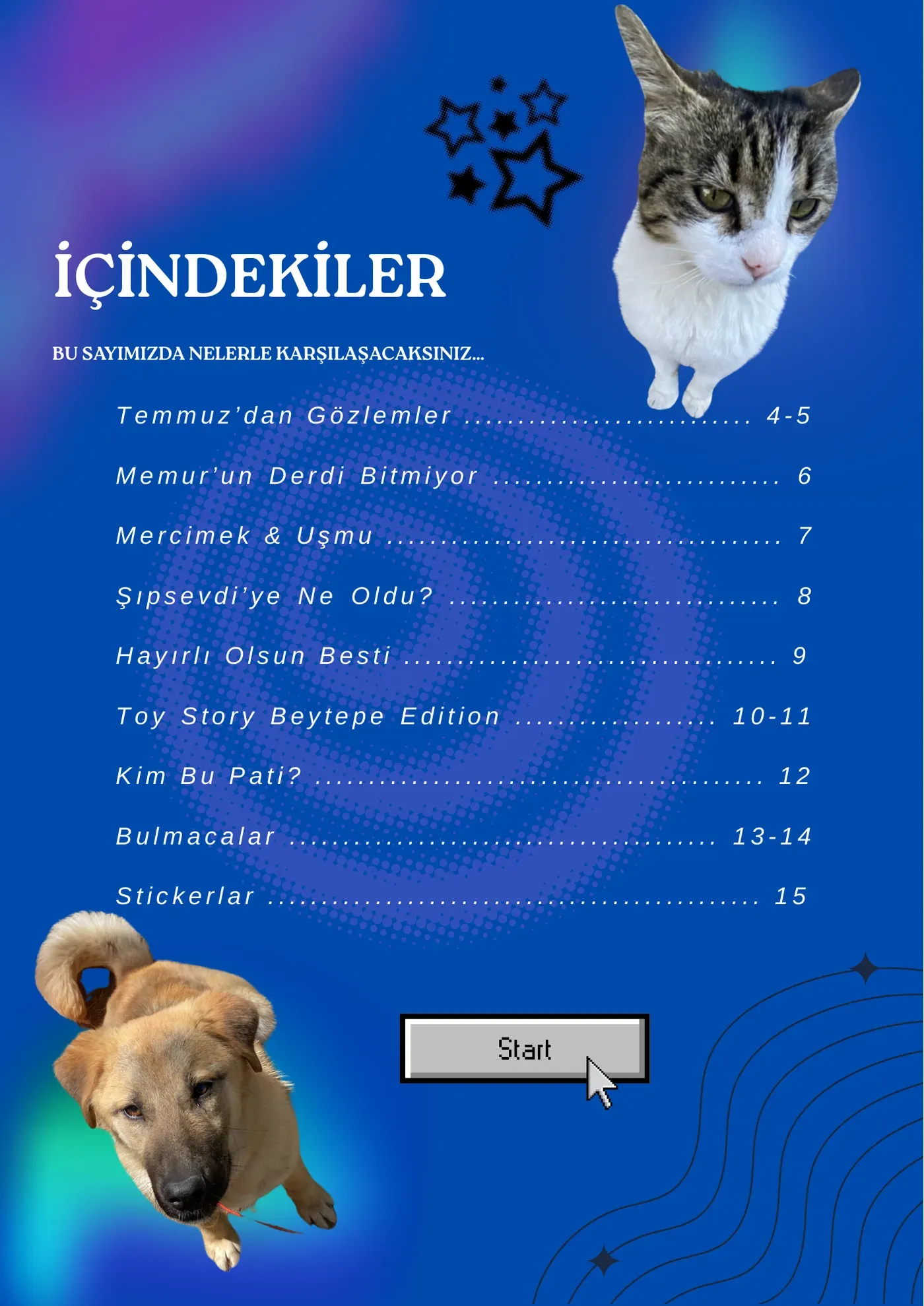 İçindekiler