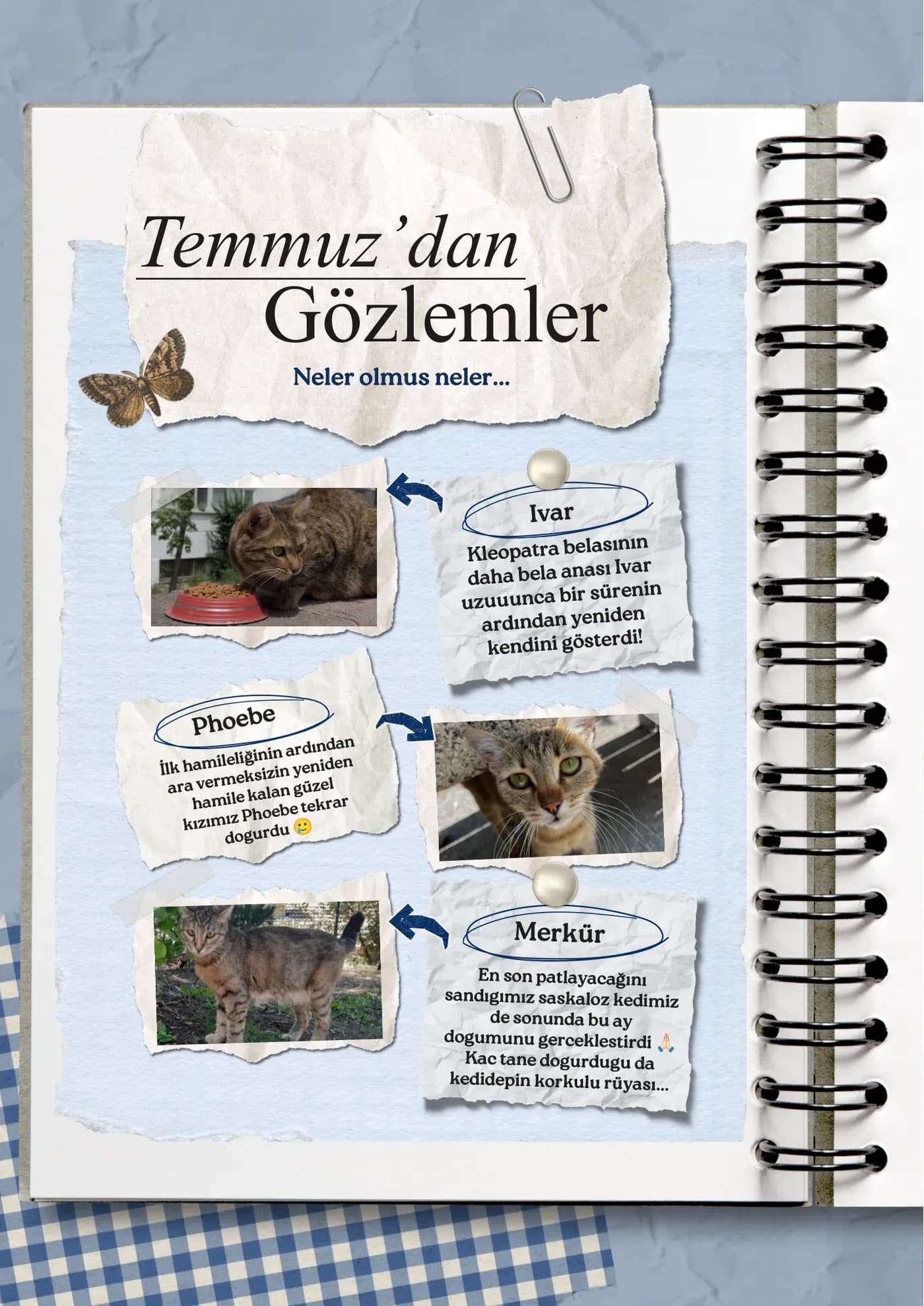 Temmuz’dan gözlemler: Ivar geri döndü, Merkür ve Phoebe doğurdu