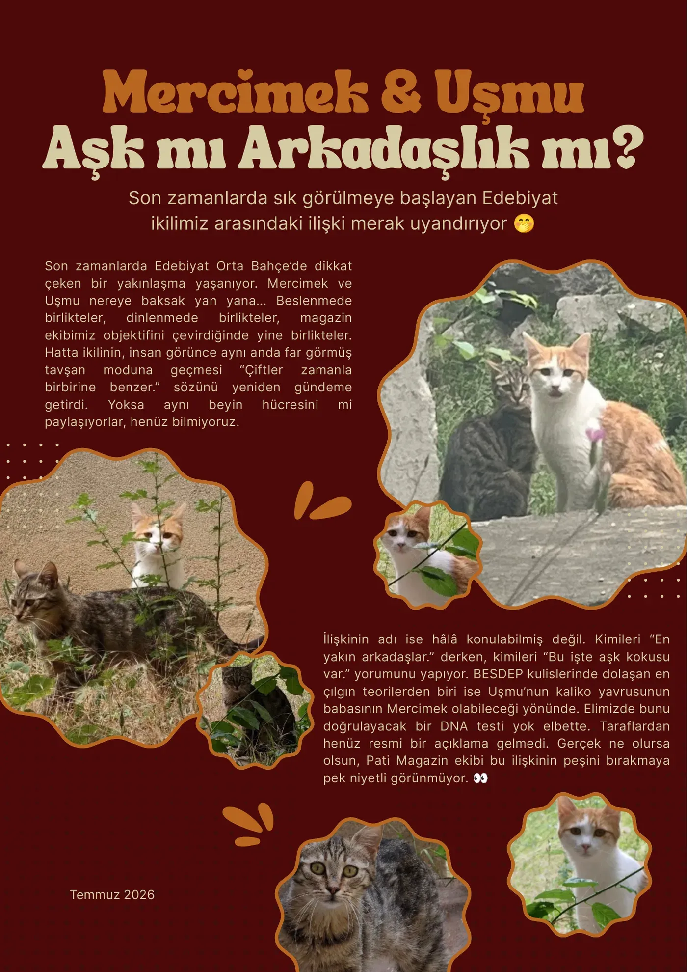 Mercimek ve Uşmu: aşk mı, arkadaşlık mı?