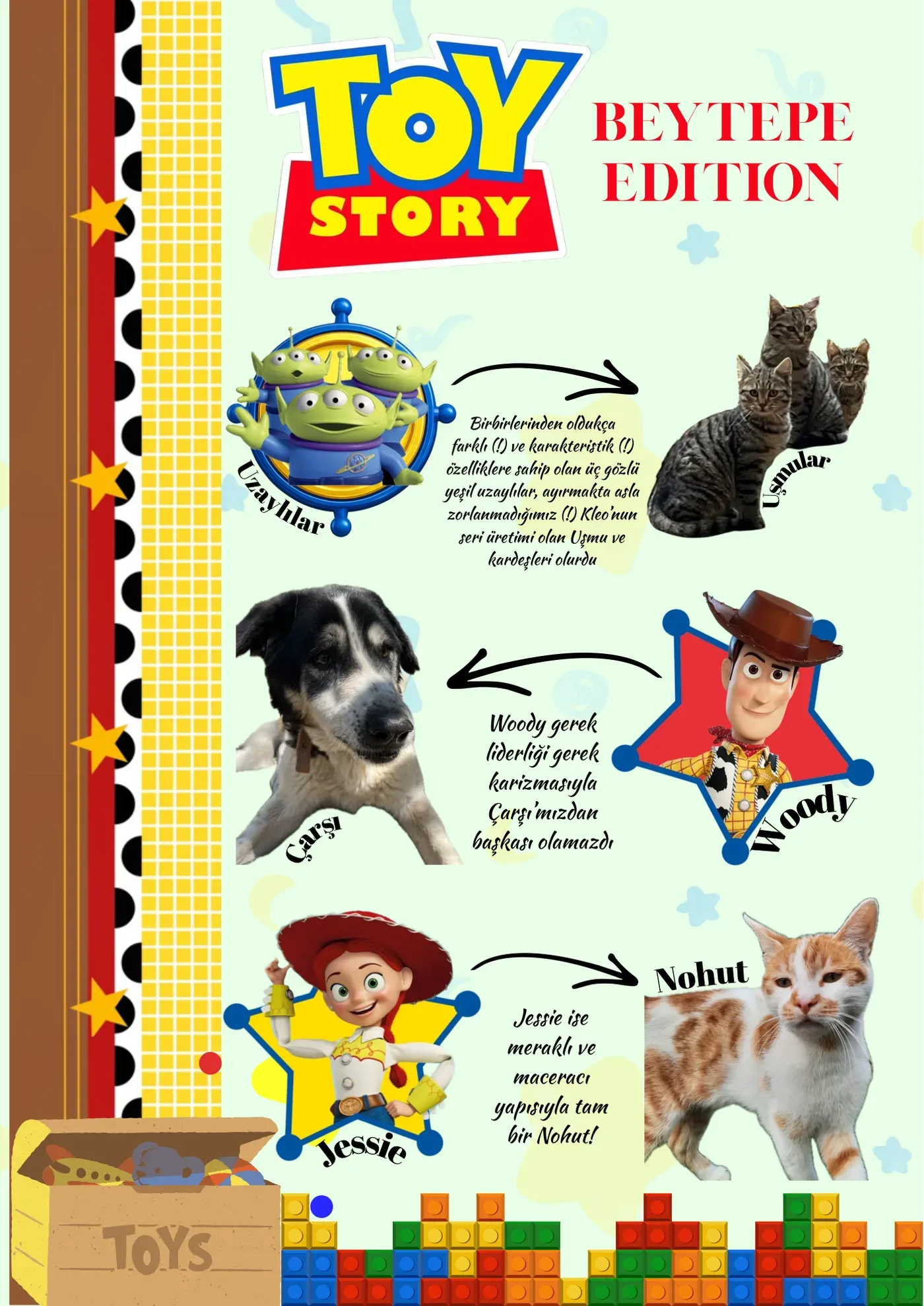 Toy Story Beytepe Edition: Çarşı, Nohut ve Uşmular