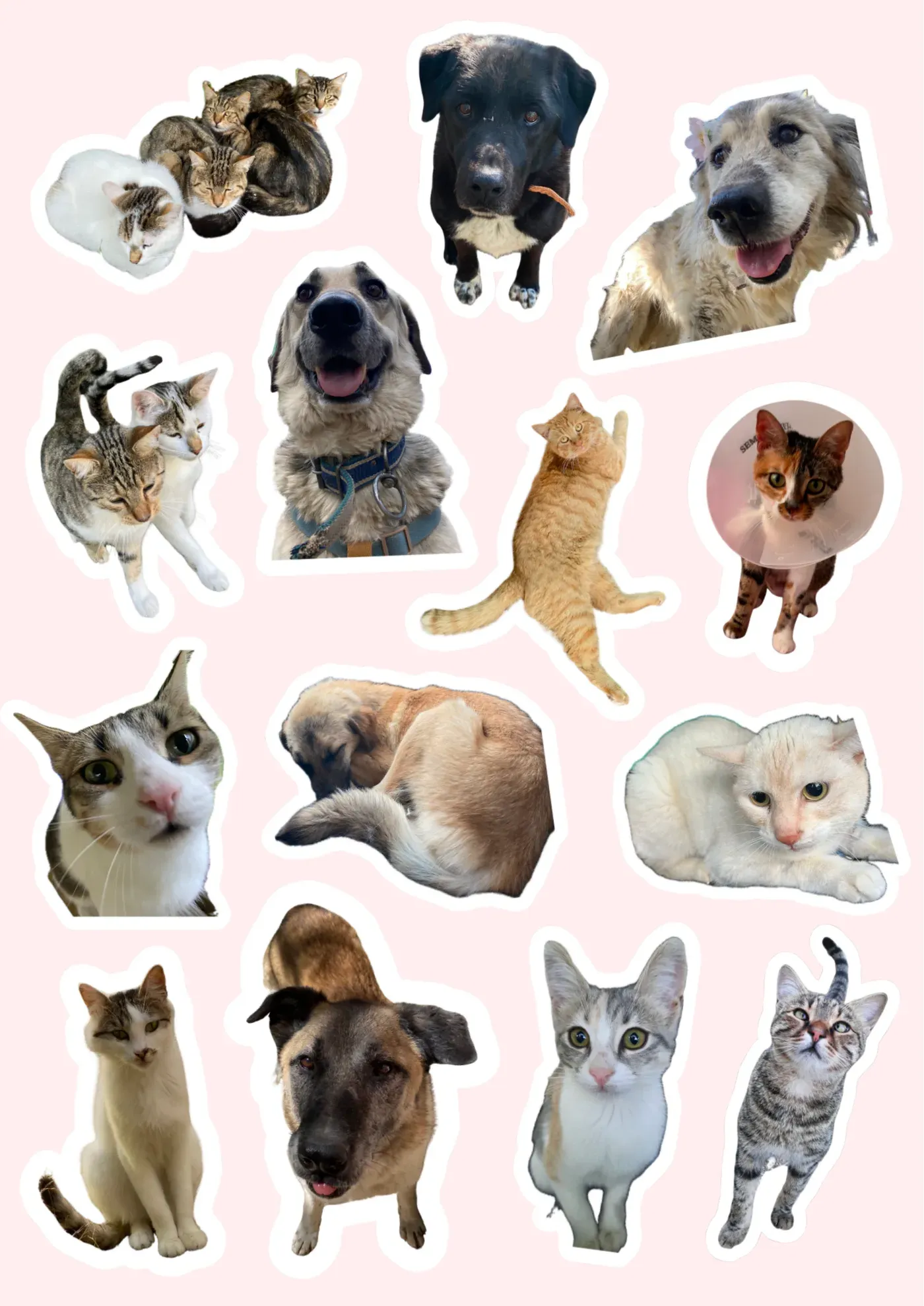 Stickerlar