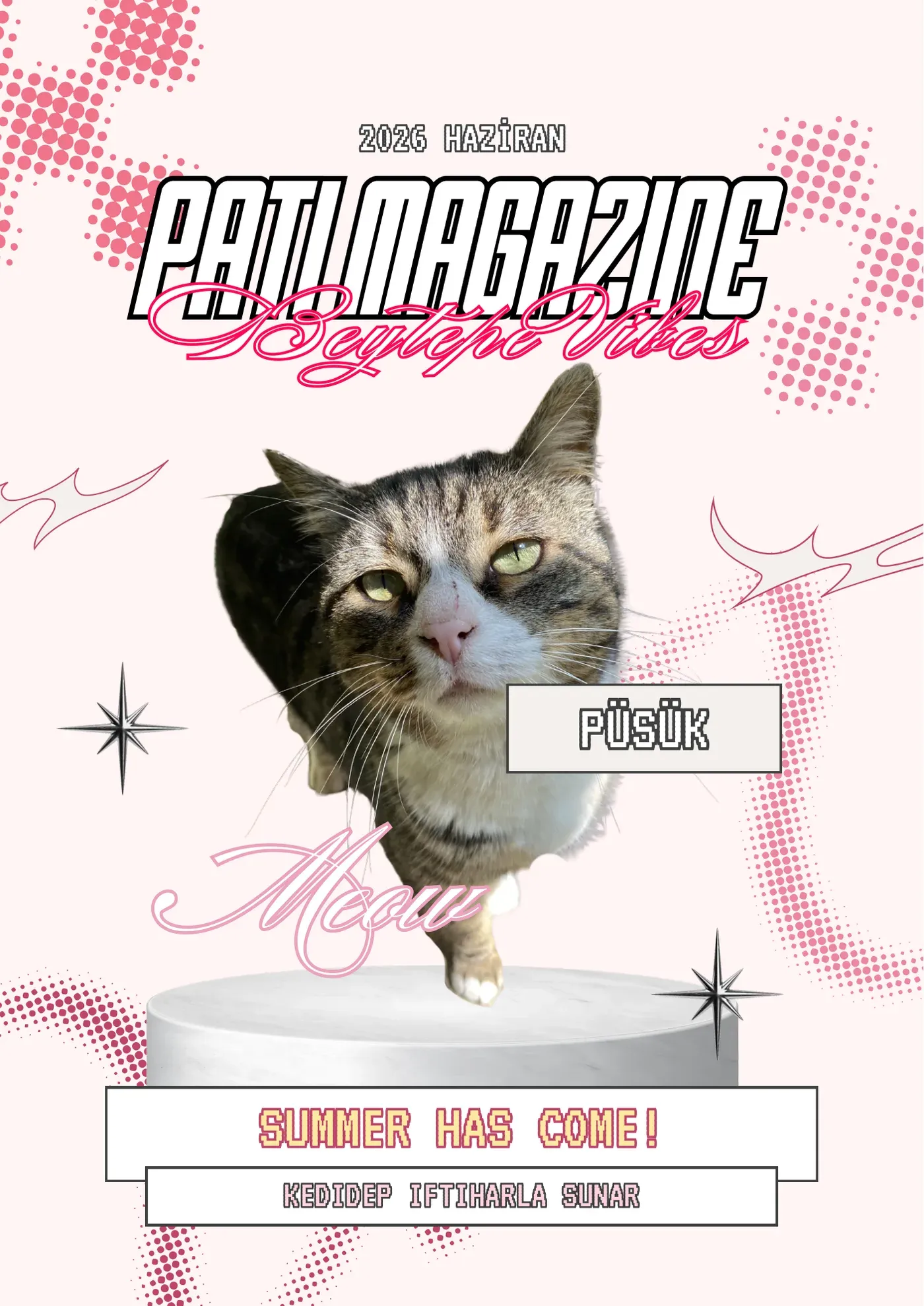 Cover: Püsük